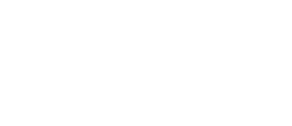 Premier Brokers International